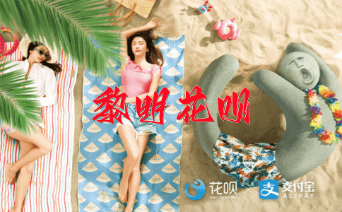 一发千钧（极大的力量）花呗